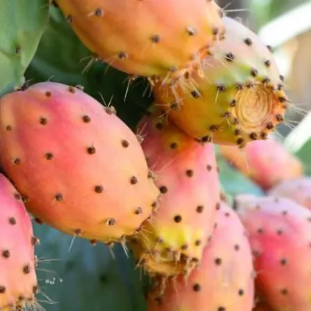 Apartment Baia 71 Gallipoli