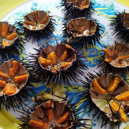 아파트 Baia 71 갈리폴리